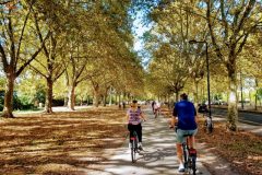 Visiter Bordeaux à vélo