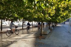 Visiter Bordeaux à vélo