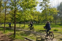 Bordeaux Bike Tour