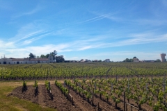 Un grand tour à vélo à Bordeaux