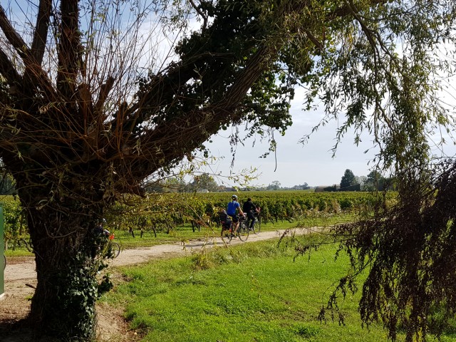 Bike and wine tour in Saint-Emilion