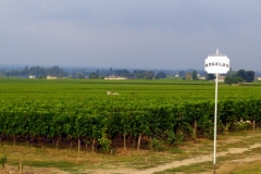 Wine and Bike tour around Saint-Emilion