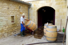 Wine and Bike tour around Saint-Emilion