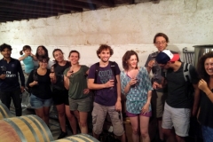 Wine and Bike tour around Saint-Emilion