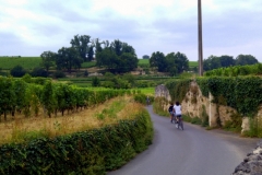 Wine and Bike tour around Saint-Emilion