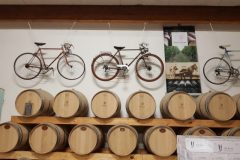 Wine and Bike tour around Saint-Emilion