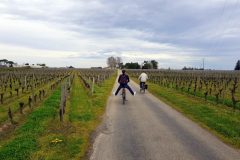 Wine and Bike tour around Saint-Emilion