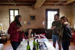 Wine and Bike tour around Saint-Emilion