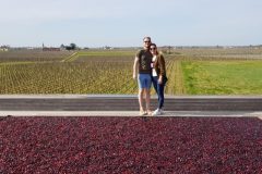 Wine and Bike tour around Saint-Emilion