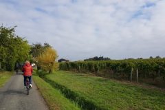 Wine and Bike tour around Saint-Emilion