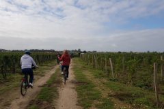 Wine and Bike tour around Saint-Emilion