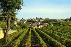 Bike and wine tour in Saint-Emilion