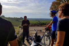 Bike and wine tour in Saint-Emilion