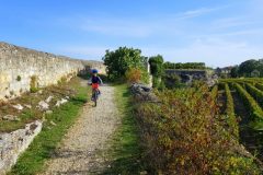 Bike and wine tour in Saint-Emilion