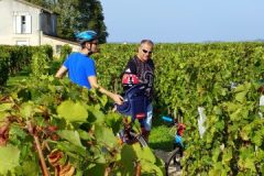 Bike and wine tour in Saint-Emilion