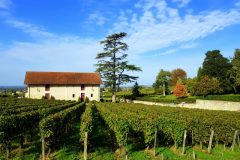 Bike and wine tour in Saint-Emilion