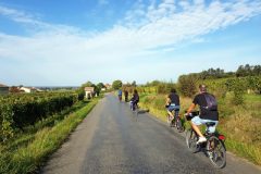 Bike and wine tour in Saint-Emilion