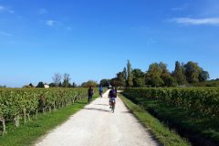 Bike and wine tour in Saint-Emilion