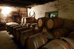 Bike and wine tour in Saint-Emilion