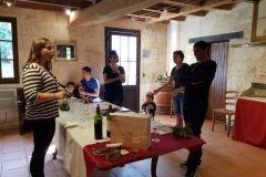 Bike and wine tour in Saint-Emilion