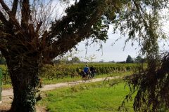 Bike and wine tour in Saint-Emilion