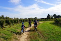 Bike and wine tour in Saint-Emilion