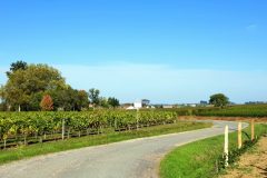 Bike and wine tour in Saint-Emilion