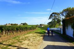 Bike and wine tour in Saint-Emilion