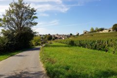 Bike and wine tour in Saint-Emilion