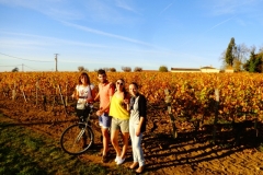 Tours guidés à vélo à Saint Emilion