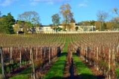 Wine and Bike tour around Saint-Emilion