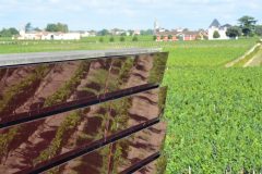 Wine and Bike tour around Saint-Emilion