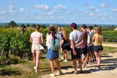 Wine and Bike tour around Saint-Emilion