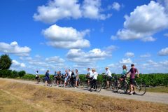 Wine and Bike tour around Saint-Emilion