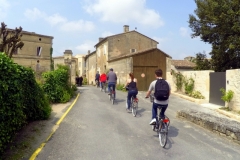 Wine and Bike tour around Saint-Emilion