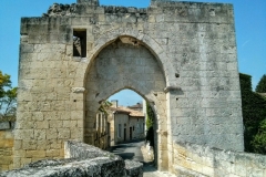 Tours guidés à vélo à Saint Emilion