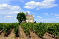 Tours guidés à vélo à Saint Emilion